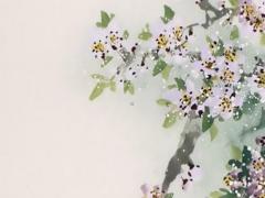 2023年兔哪年犯太歲