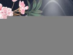 屬豬開業日子查詢2023,屬豬的人今年開店幾號開業