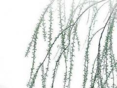 怎么查一個人的證明身份號碼 怎么查一個人的證明身份號碼信息