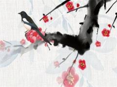 本命年的轉運珠什么時候取下來,本命年過后轉運珠怎么處理