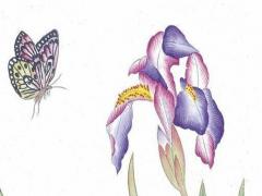 1977屬蛇的今年運程 1977年屬蛇今年每月運程