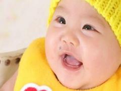 聰明可愛的生肖狗寶寶名字大全 聰明可愛的生肖狗寶寶名字大全四個字