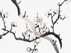 養魚一般養幾條合適 一般養魚養幾條好