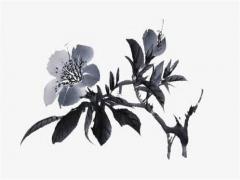 2023屬虎會(huì)遇到真愛嗎 屬虎的在2023年的運(yùn)勢好不好呢