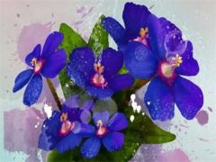 必定離婚的八字女命 命中注定離婚的八字