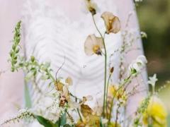 對朋友最大方星座