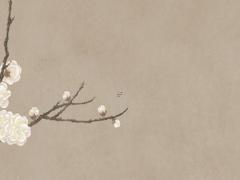 促懷孕很靈民間的秘方 促懷孕的藥有哪些