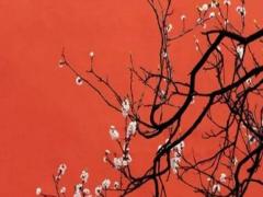 好聽(tīng)的典當(dāng)行名字大全