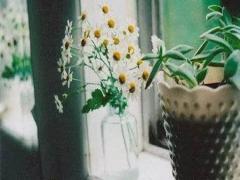 周公解夢夢見糞坑撈魚 夢見在屎坑里撈魚