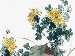 2008屬鼠的戴什么首飾最好,2008年屬鼠的幸運顏色和數字