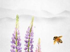 來個新潮的嬰兒小名 2020新潮的嬰兒小名