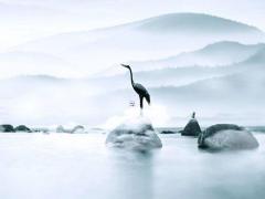 算命的說(shuō)呈口不順什么意思 算命說(shuō)有關(guān)口要怎么辦