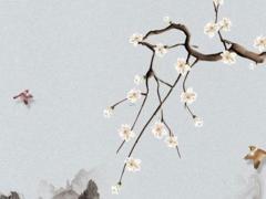 74年屬虎48歲2023年