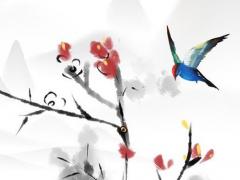 解密相同八字為何不同命運 相同的八字不同的命運