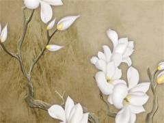 屬豬的年份表 屬狗的年份表