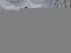 12生肖兔和虎婚配兔和蛇 兔和虎生肖配怎么樣