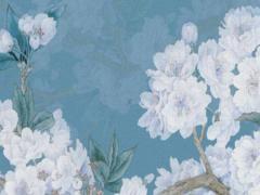 屬虎的今年多大年齡表1974,屬虎今年多大74出生