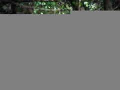 五指長短粗細反應個人運勢,手指五指長短