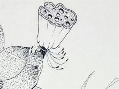 寶寶奶粉選擇什么牌子的好 寶寶奶粉選哪種好