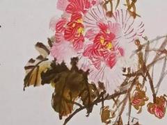 上澤在周易中是什么意思 上澤下乾是什么卦