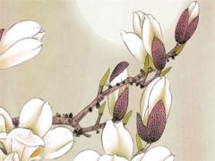 生辰八字算婚姻準嗎 生辰八字算婚姻準嗎怎么算