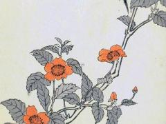 2023年屬猴人的全年學業,屬猴在2023年學業卜易居