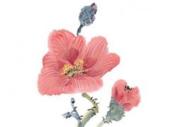 屬兔多少歲了今年 屬兔多少歲今年2023年運勢