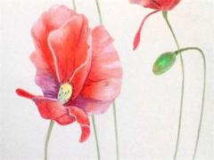 男屬蛇與女屬羊婚配嗎,男屬蛇跟女屬羊的合不合適