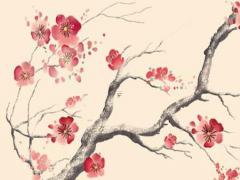 如何快速提取證明身份號碼中的年齡 怎么提取證明身份號的年齡
