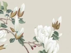 走遍天下的生肖 走遍天下的生肖有幾個？