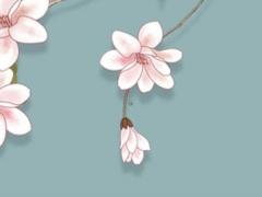 屬馬的生什么屬相的寶寶好 屬馬與什么屬相最配