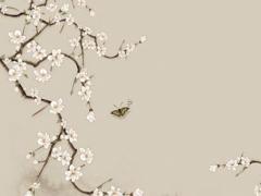 2023本命年送女士什么東西比較好,本命年送女士什么生日禮物