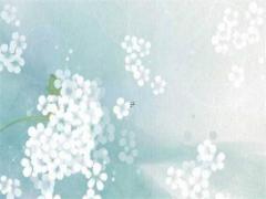 陜西中煙招財貓 陜西中煙招財貓煙