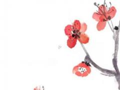 1988年9月30日生辰八字 1988年9月30日出生