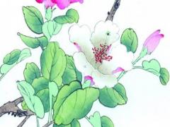 屬虎人2023年運程建房
