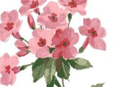 怎樣去除霉運教你十種轉(zhuǎn)運方法 如何去除霉運