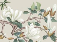 正版2023年波色生肖表,2023兔年生肖排碼表