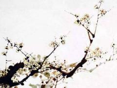 八字里面的劫是什么意思 生辰八字劫