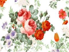 男人迷上***的原因是什么 男人很愛***