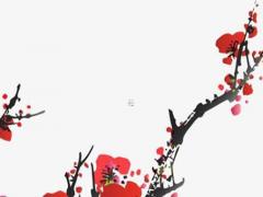 1986年屬虎與1981屬猴婚姻 1980年猴和1986年虎婚姻