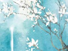 算命的人知道生辰八字會搗鬼 算命人知道八字會害人嗎