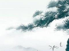 免費學大師八字批算實戰個案 八字算命老師