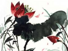 什么塔羅牌最準啊 哪種塔羅牌是最好的