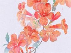 幸運五指占卜法節(jié)制的意思 幸運五指牌陣