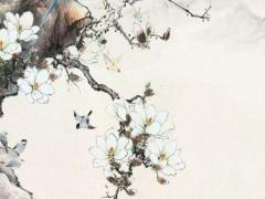 1980年屬猴婚姻離婚率 1980年屬猴會離婚嗎運執(zhí)