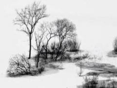 屬兔2023年婚姻怎樣