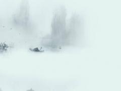 屬龍的和屬狗的相配嗎 龍和狗的婚配屬相好嗎