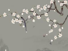 2007年8月3日生辰八字 2007年8月3號農歷生日