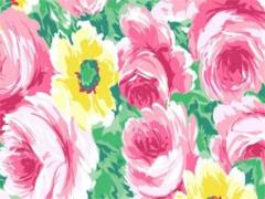 屬兔水瓶座女2023,屬兔水瓶座女生的愛情