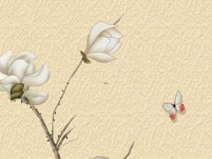 請高人測算 高人測算胡新宇